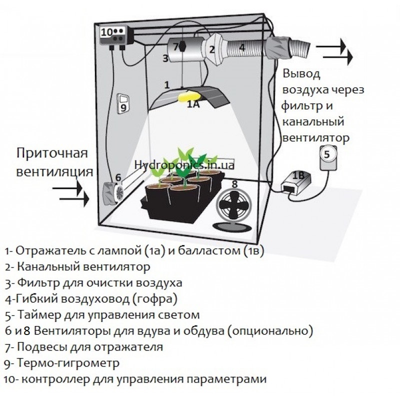 Инструкция выращивание конопли фото конопли в гроубоксе