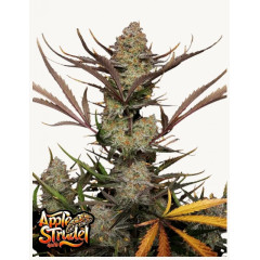 Apple Strudel Auto™ 