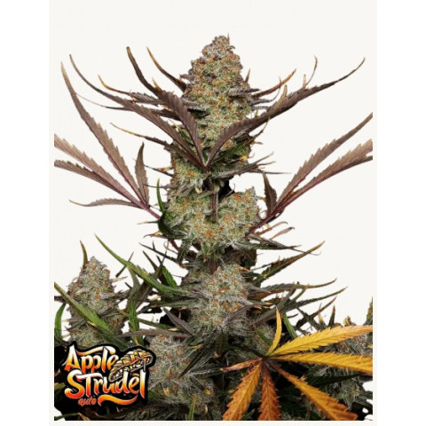 Apple Strudel Auto™ 