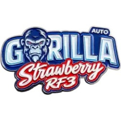 Сувенір Strawberry Gorilla Auto RF3™ Fast Buds, 1 шт (фасовка)