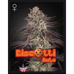 Biscotti Auto Green House Seeds 1шт (фасовка) 