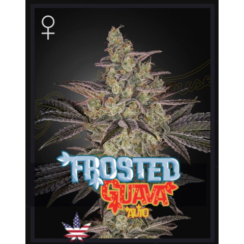 Frosted Guava Auto Green House Seeds (фасовка)