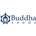 Buddha Seeds