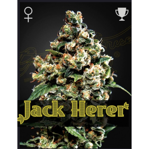 Jack Herer Green House Seeds 5шт (original pack)  