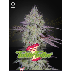 Tarte Tatin Green House Seeds 1шт (фасовка) 