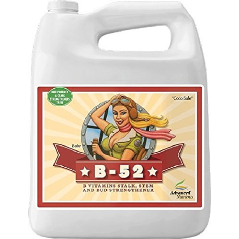 Advanced Nutrients B-52 стимулятор больших соцветий 5 л